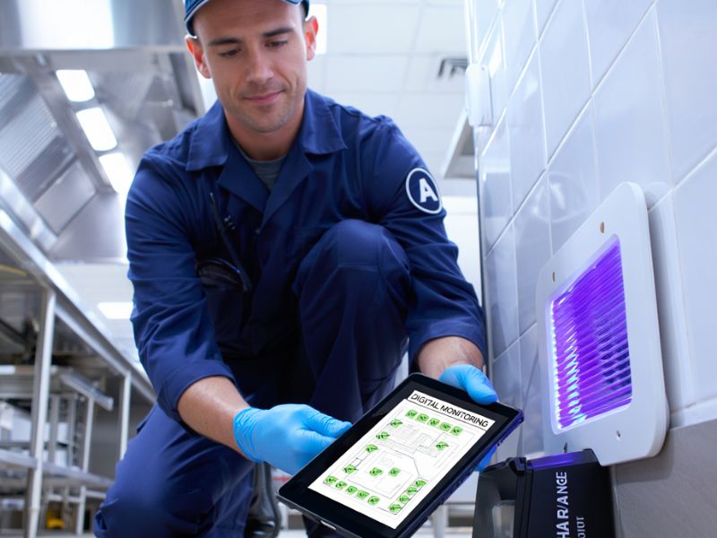 Macrofotografia de un tecnico de Alpha Range inspeccionando una piastra collante de una lampada LED per monitoraggio insetti, con catture dettagliate de mosche y zanzare.