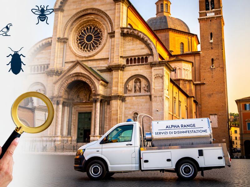 Flotta di veicoli Alpha Range pronti per il pronto intervento disinfestazione a Roma e Provincia.